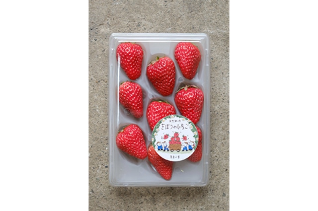 【自然栽培】きぼうのいちご・1P(3/13～3/16発送限定)　