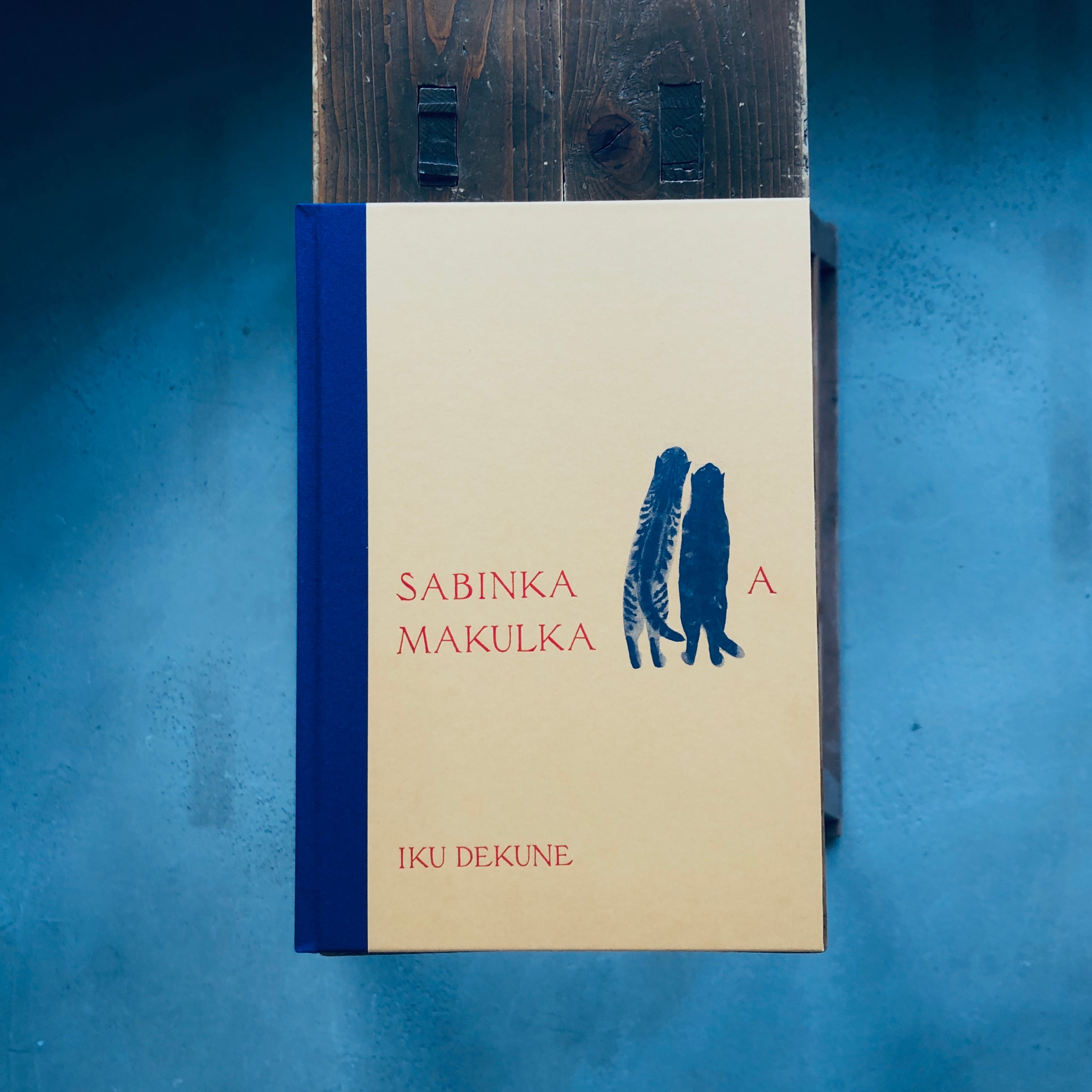 出久根育作品集　SABINKA A MAKULKA 出久根育作品集