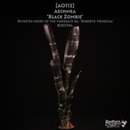 【reserved】Aechmea 'Black Zombie' 〔エクメア〕現品発送A0112