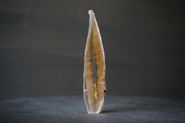 スペイン産バイカラーセレナイト Selenite  981