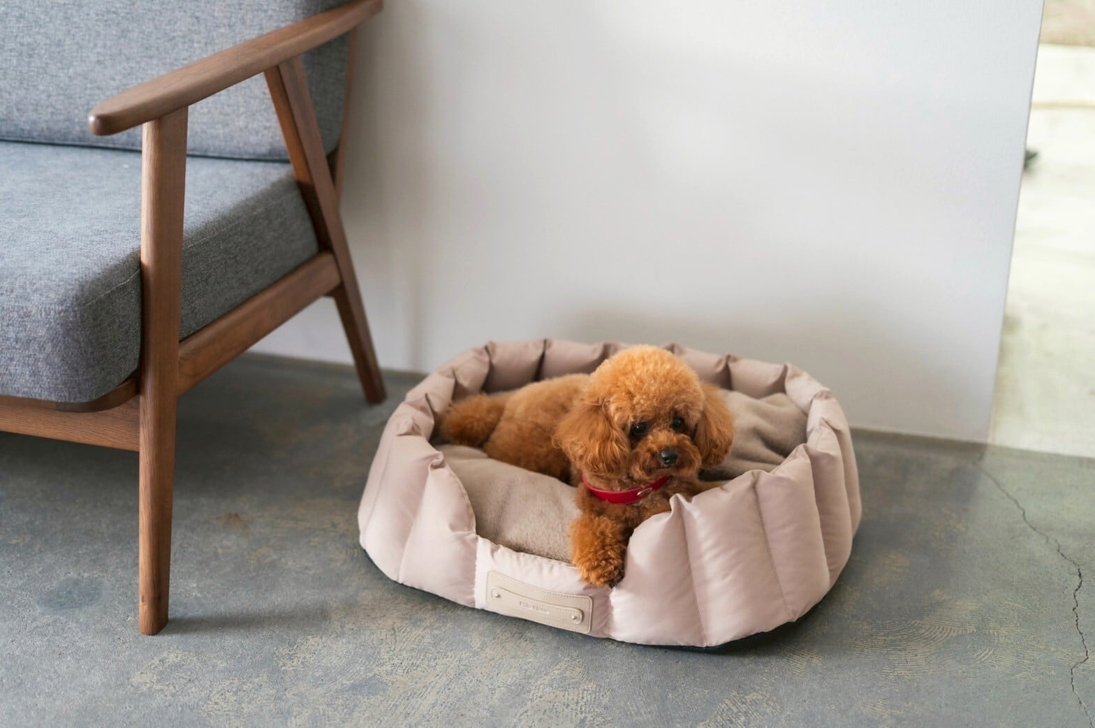 最終価格】ミラヌー 小型犬 ドライブベット キャリー バッグ Milla