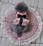 Cutie Leopard Blanket (Reversible)