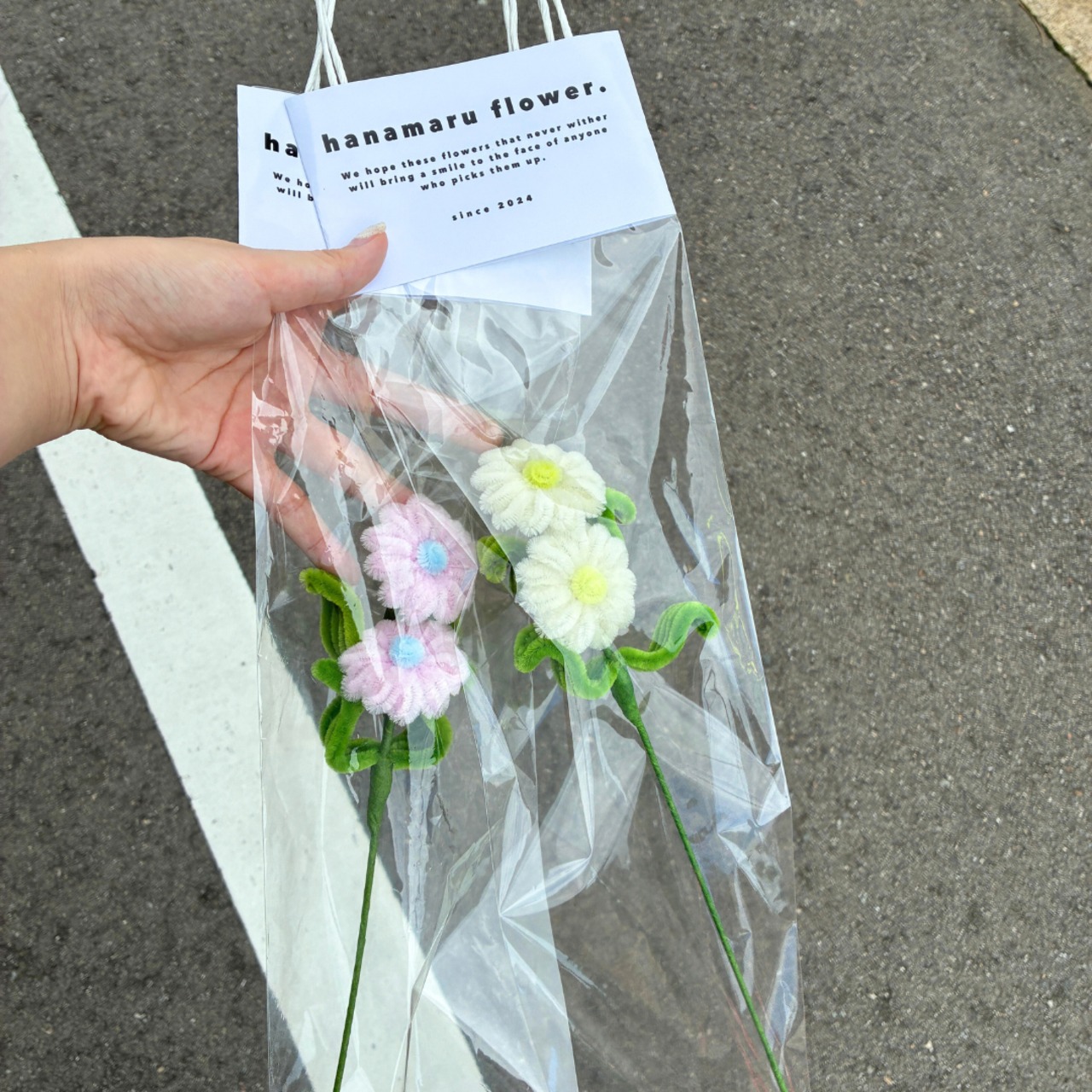 daisy デイジー【1本単体】| fuwafuwa flower - 4