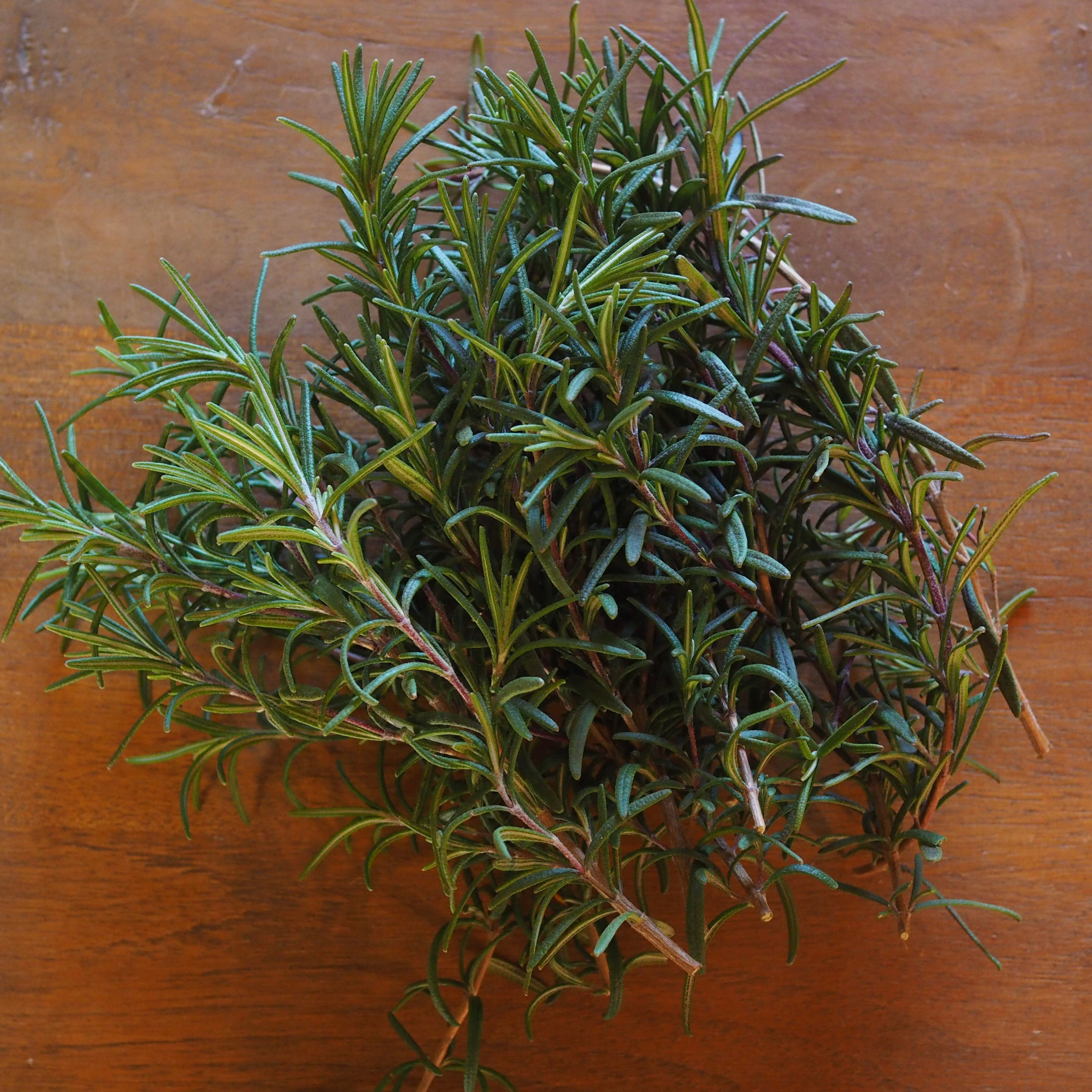 rosemary | 農地所有適格法人 株式会社 苗目