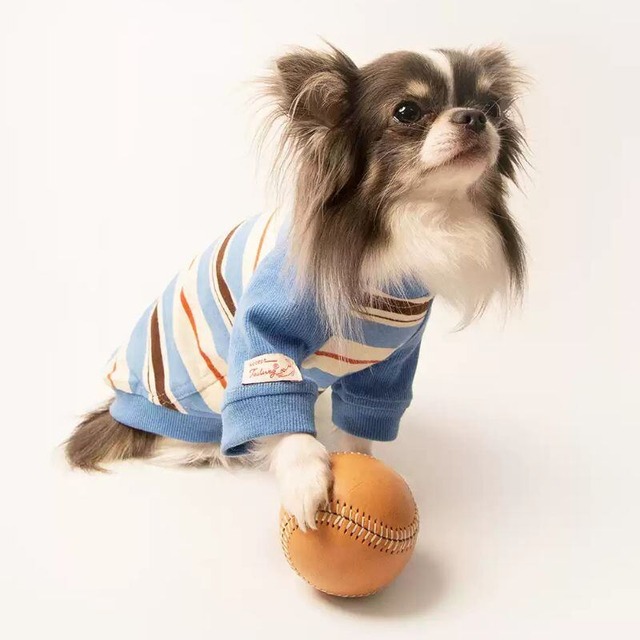 ブルーボーダーTシャツ　犬猫服　01226