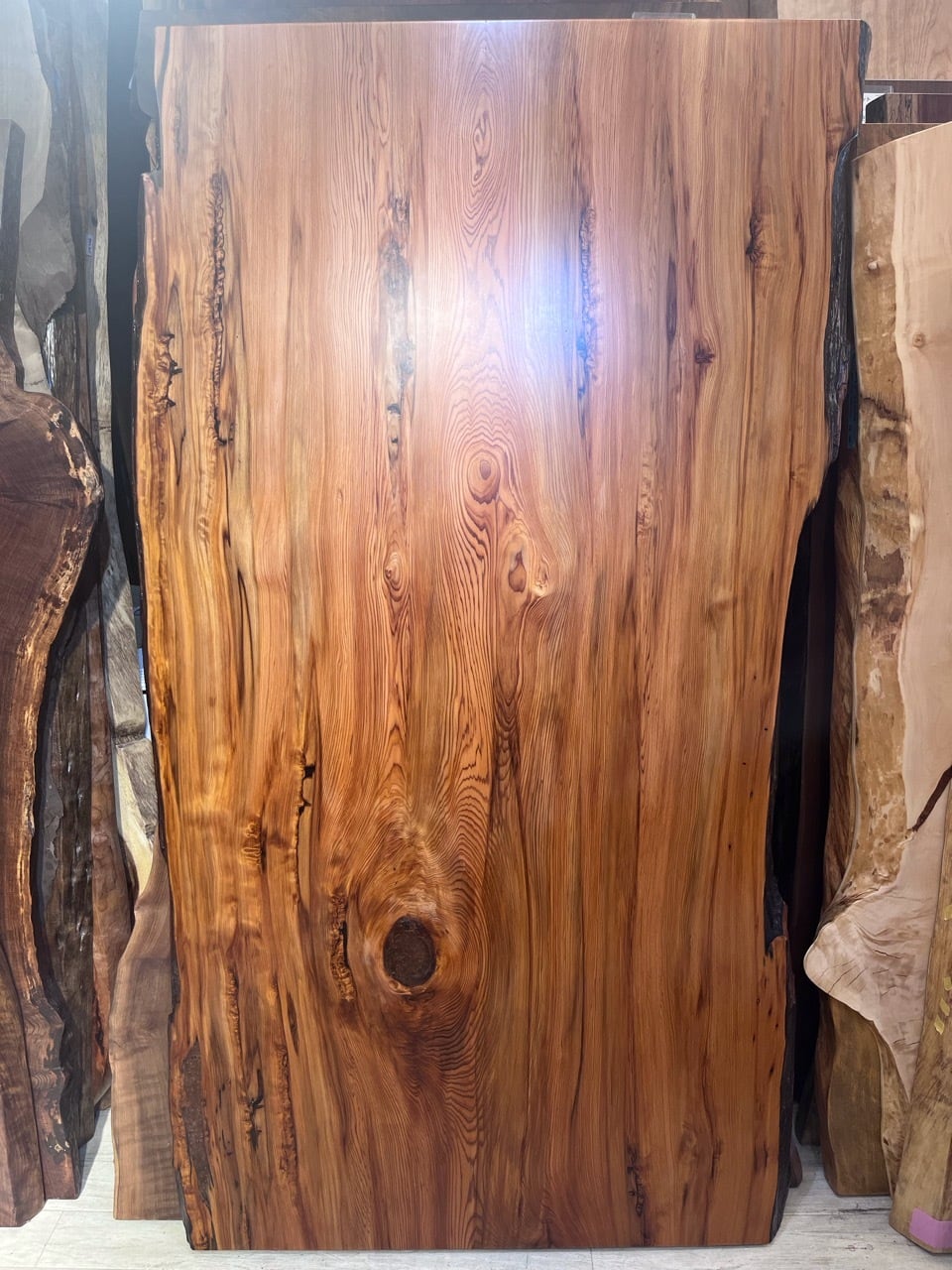 Premium】屋久杉（ヤクスギ）_1880×985-960-950×60_浅草本店_テーブル