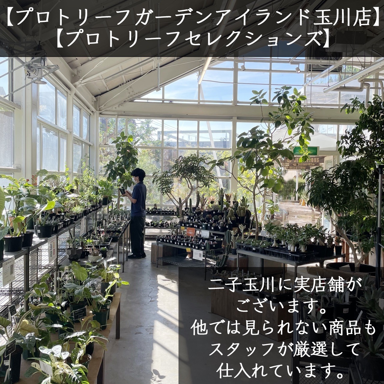 【一穂窯】黒嘯裂鉢 3号