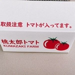 新鮮桃太郎春トマト　６個　袋入り　１㎏以上　８５０円