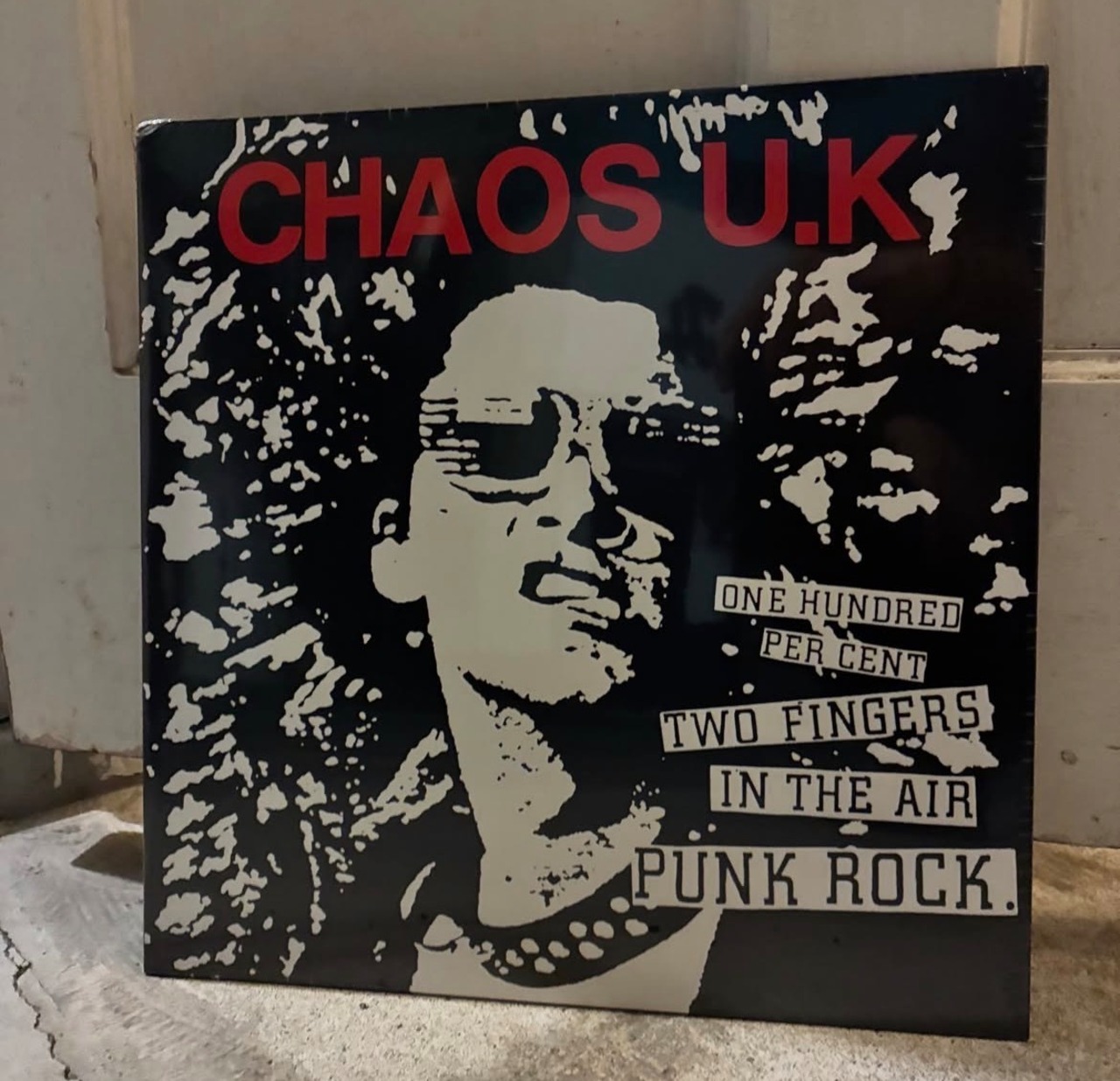 one hundred per cent two fingers in the air punk rock LP
