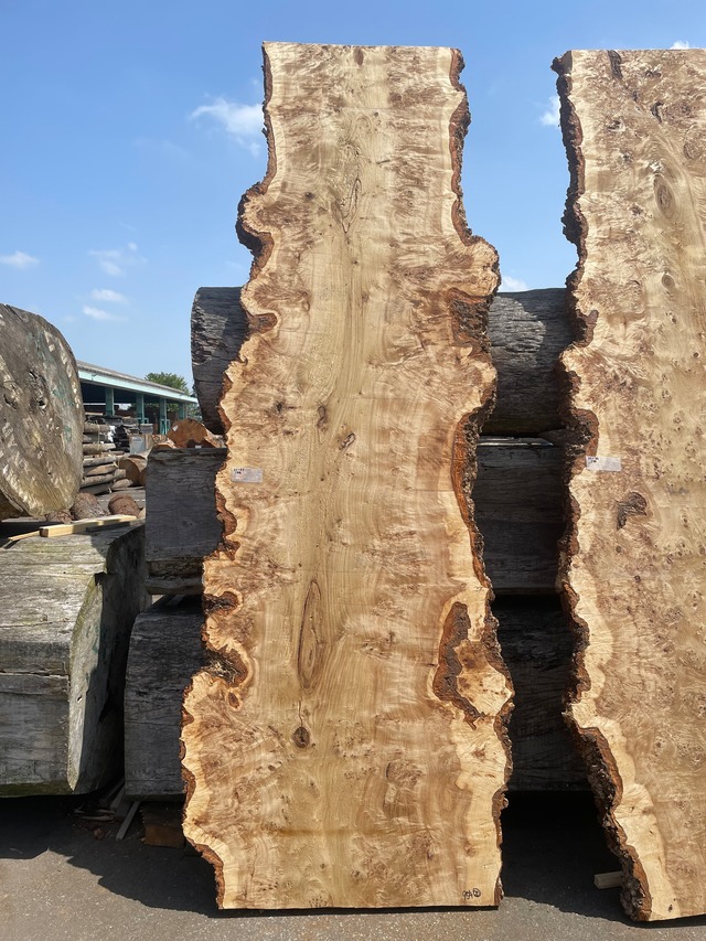 ポプラ瘤_3200×750-800×70_Web限定_オーダー用原板 T1932 T