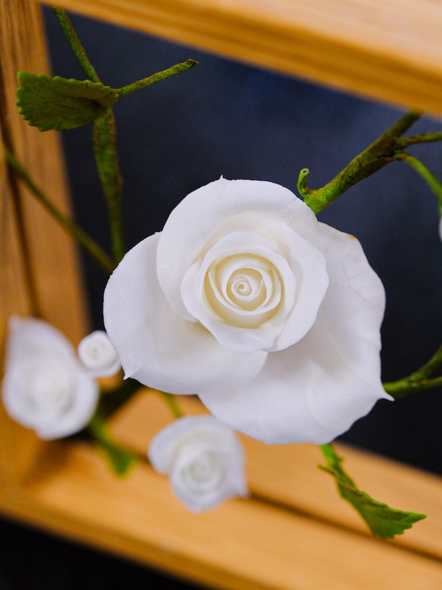 【額縁アート】White Flower