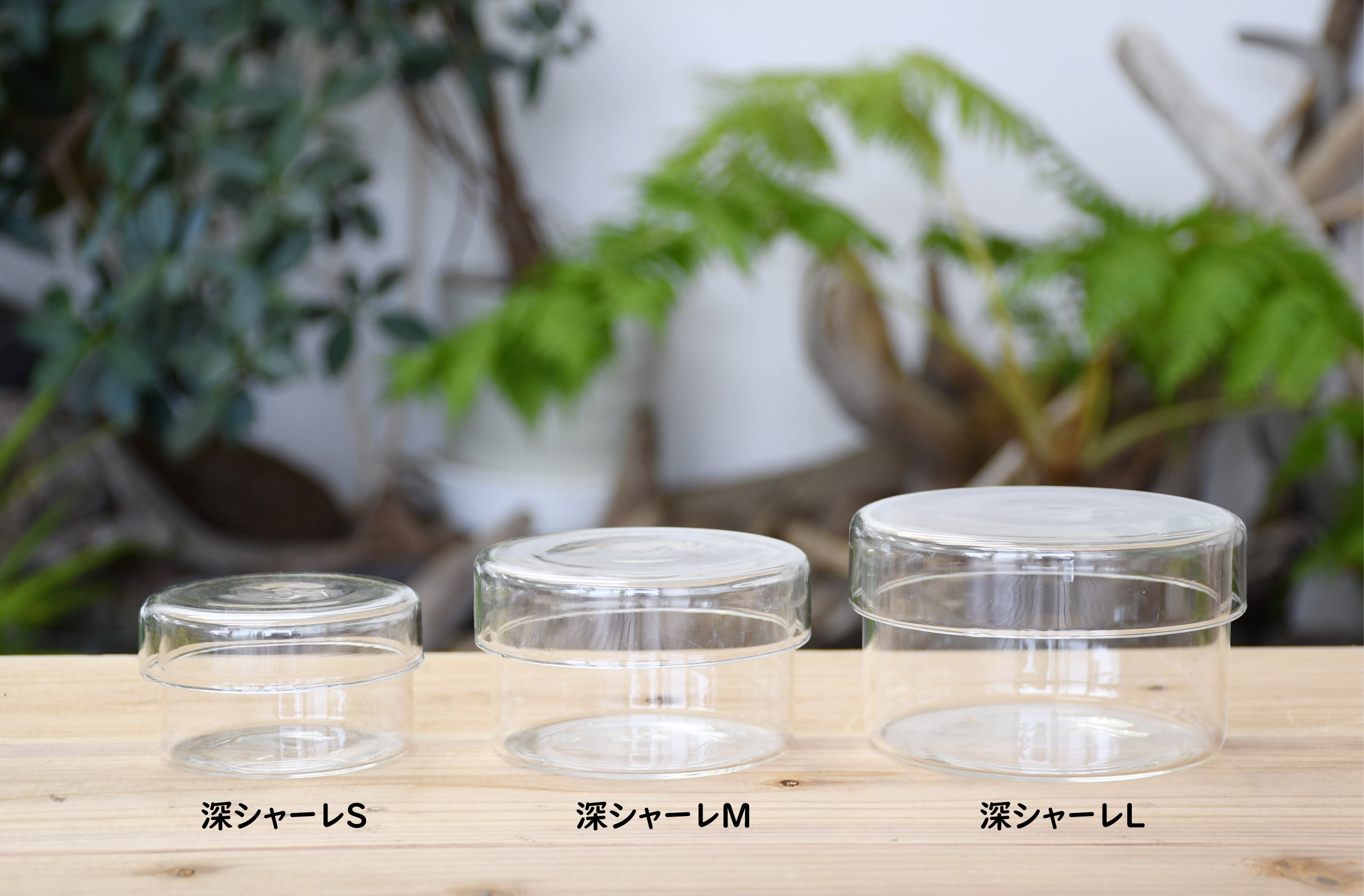 ガラス容器】深底ガラスシャーレS【10個セット】（直径72xh43mm