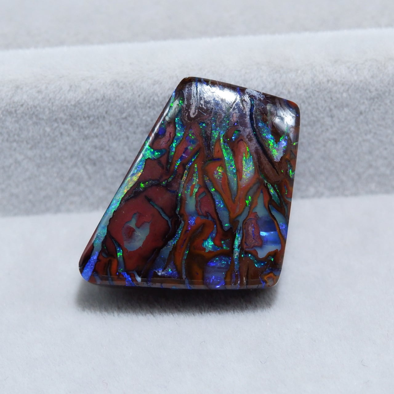 ピクチャーオパール | 洋灯舎