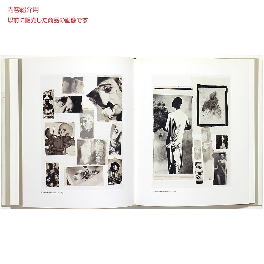 Irving Penn: Platinum Prints アーヴィング・ペン：プラチナ