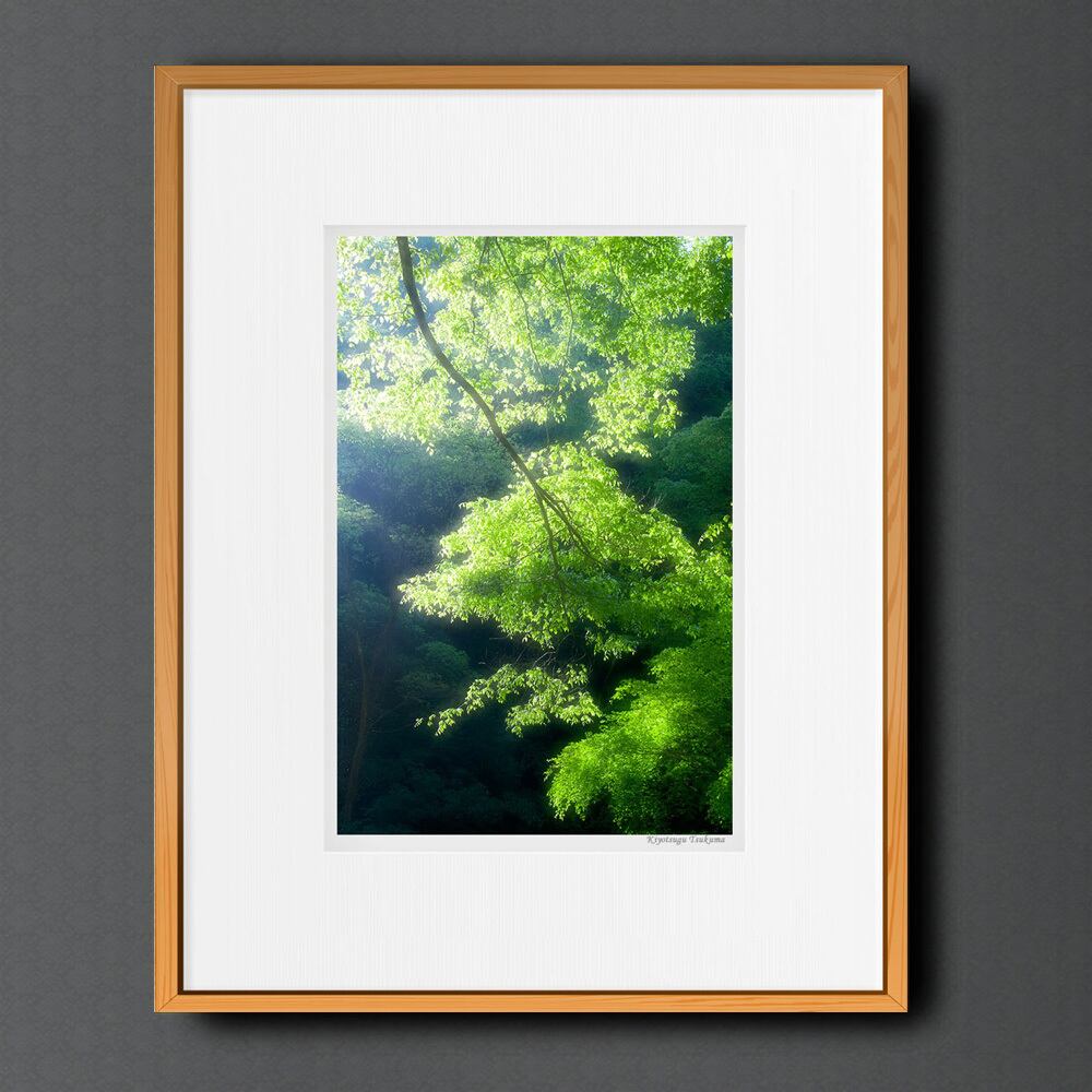 KOMOREBI #04 ■額縁サイズ(大全紙)726×544mm