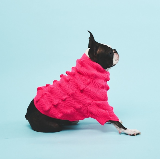 TOGEZO KNIT-SHOCKING PINK