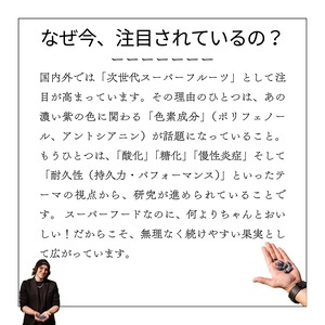【５本セット】ハスカップ・ストレートジュース