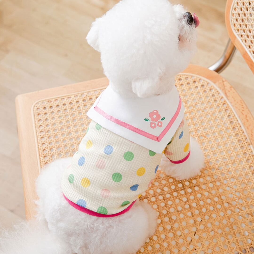 【ワンカラー】襟付きのドット柄カットソー d1463