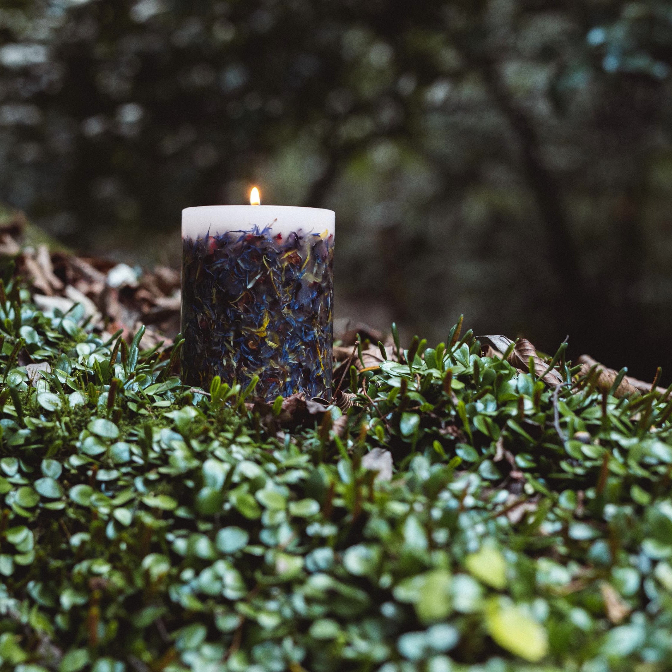 BOTANICAL Candle / Blue herb / ボタニカルキャンドル | YOAKEnoAKARI