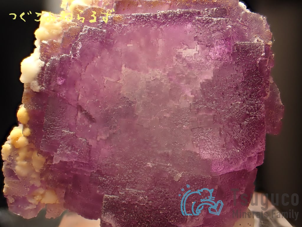 フローライト 蛍石 Fluorite スペイン TM-0003