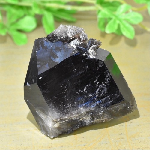黒水晶(スモーキークォーツ) 結晶　アーカンソー州産　CR76-1