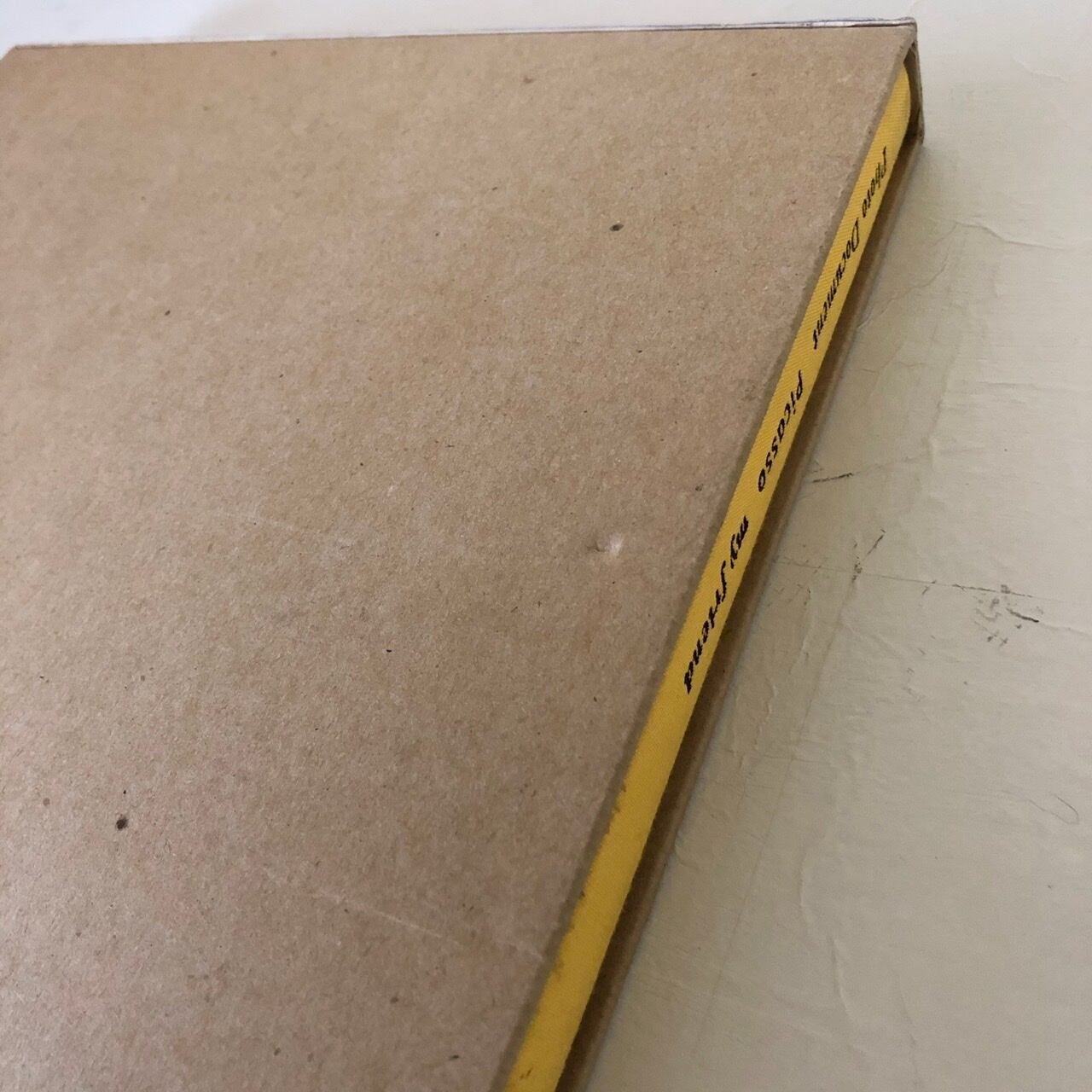 『ピカソ マイフレンド』ロベルト・オテロによる写真ドキュメント ピカソ マイフレンド』ロベルト・オテロによる写真ドキュメント