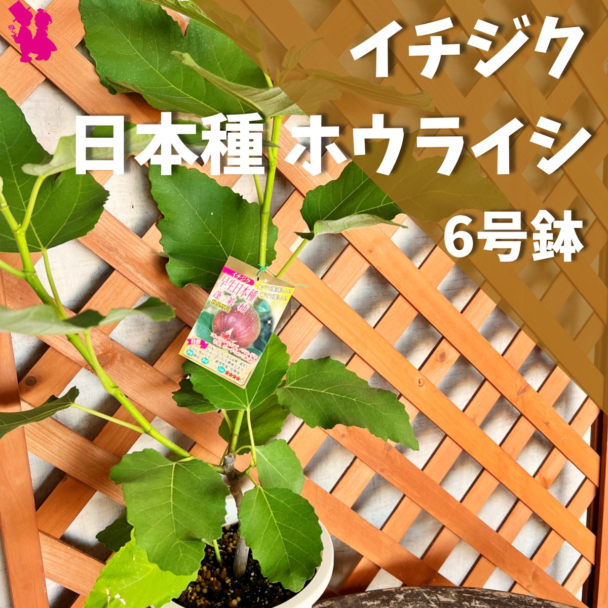 cb1c0d002766034ca0852c5cf5ca43