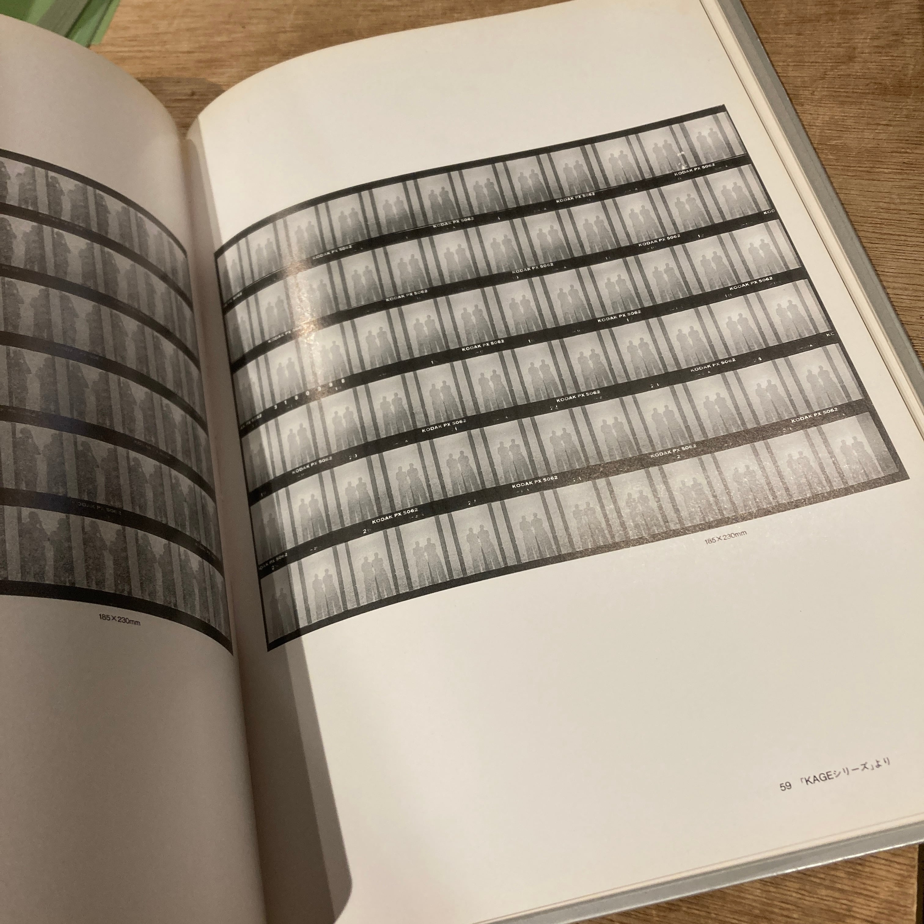 Phylo Photographs Annual 1990 パイロ・フォトグラフス・アニュアル