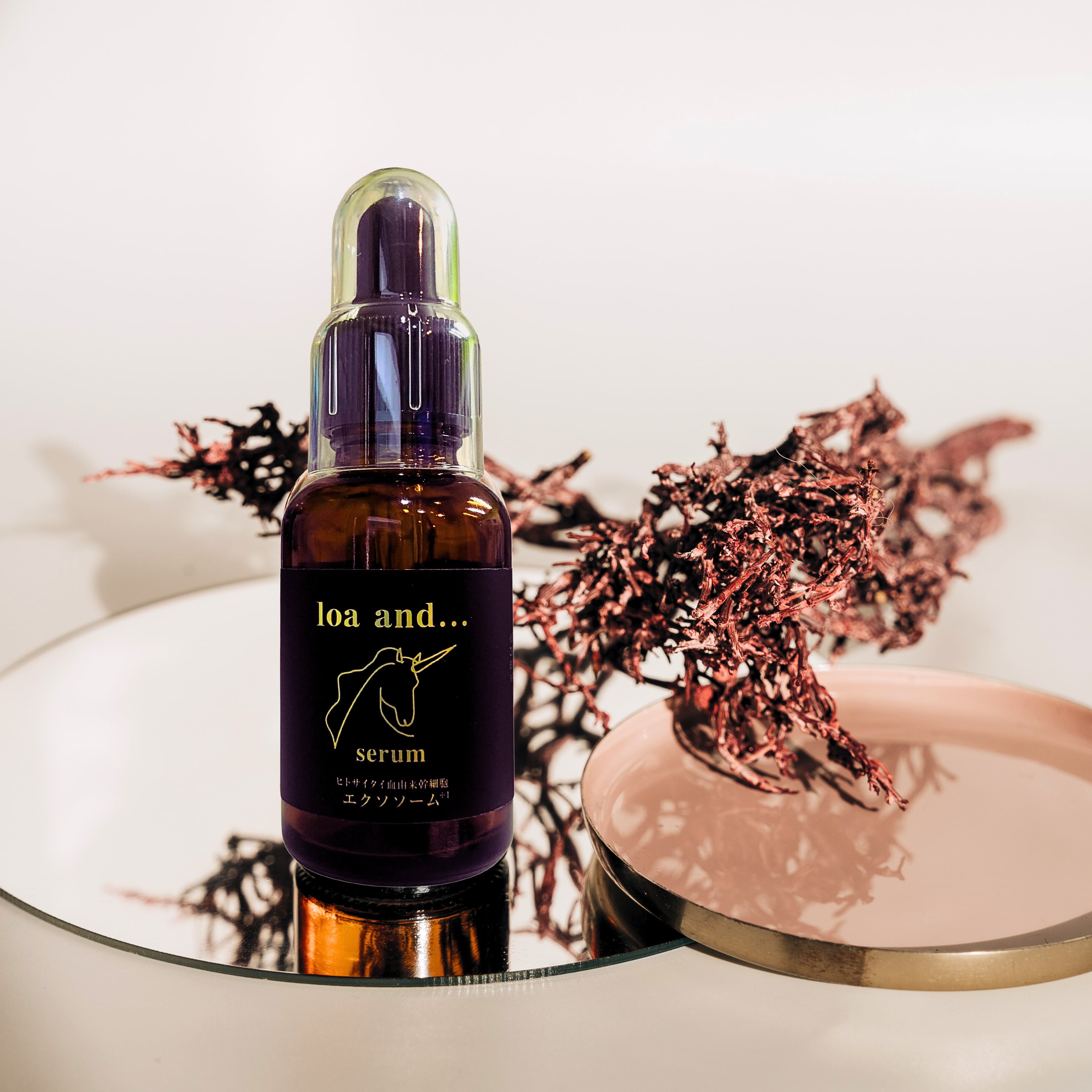 美容液 | O'deco BEAUTY