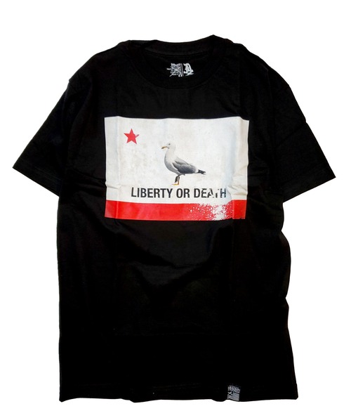 DISSIZIT / GULLY FLAG TEE / BLACK
