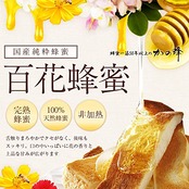 はちみつ 専門店【かの蜂】 国産 百花 蜂蜜 500g×2本 完熟 の 純粋 蜂蜜 (とんがり容器)