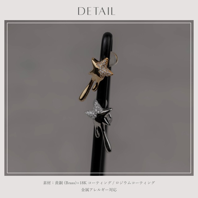 Earring/Pierce -Gold/Silver-