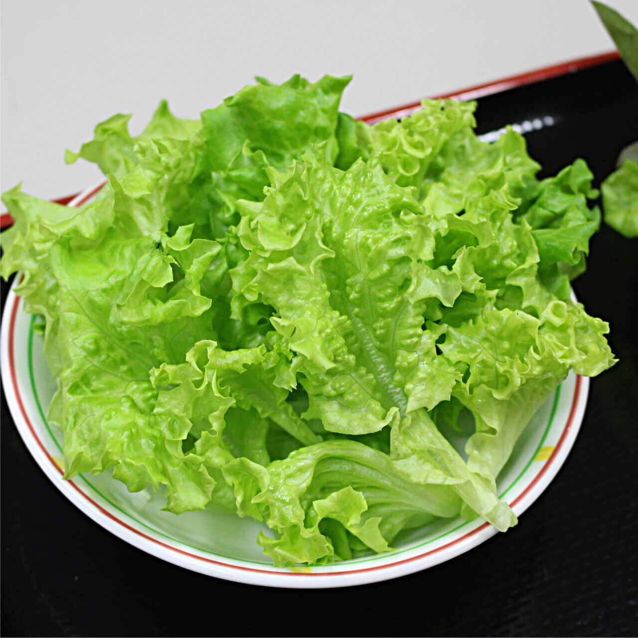 植物工場発！】水耕栽培レタス「レタスのがっこう」1週間分（7袋