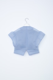Sheer compact blouse