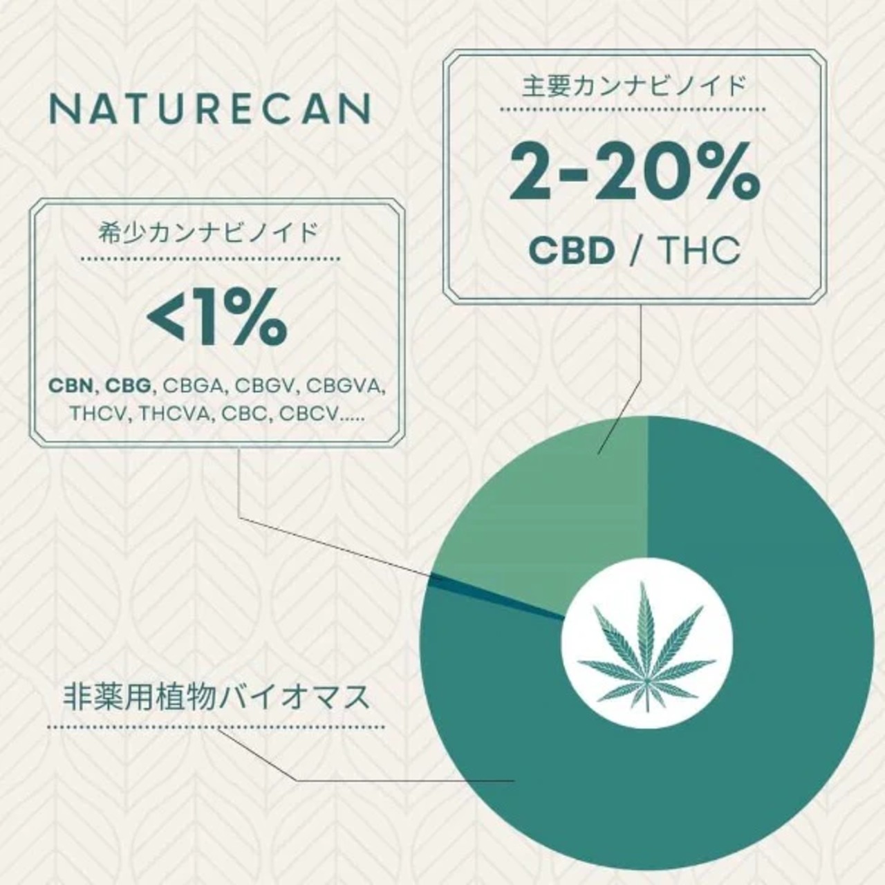 NATURECAN, 5%CBNオイル（10ml）