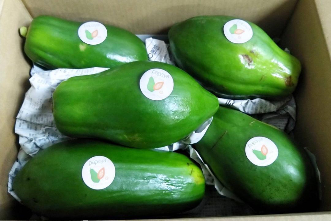 青パパイヤ⭐️20キロ 青パパイヤ⭐️20キロ