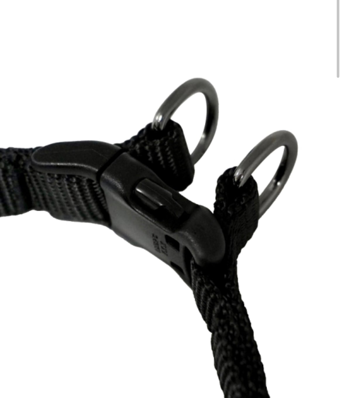 N21 HARNESS＋LEASH - BLACK | ote.