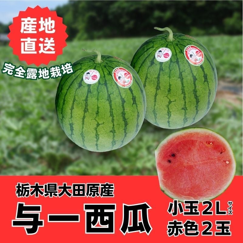 高橋農園｜産直通販「あるよ」応援プロジェクト