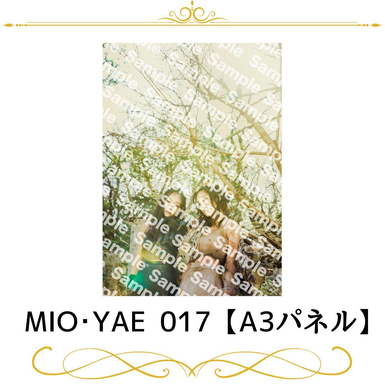 女勇 月音こな A4パネル 2枚 女勇 月音こな A4パネル 2枚 月音こな アクリルスタンド - メルカリ
