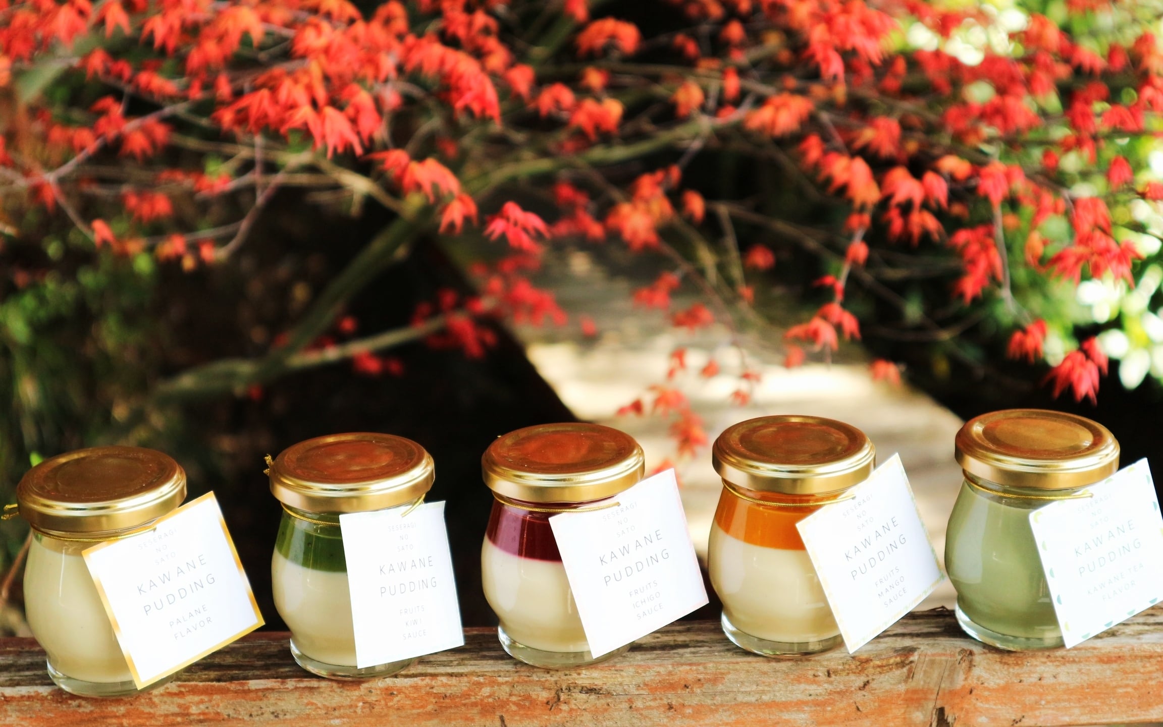 200円お得！】川根プリン 全種類コンプリートセット | せせらぎの郷