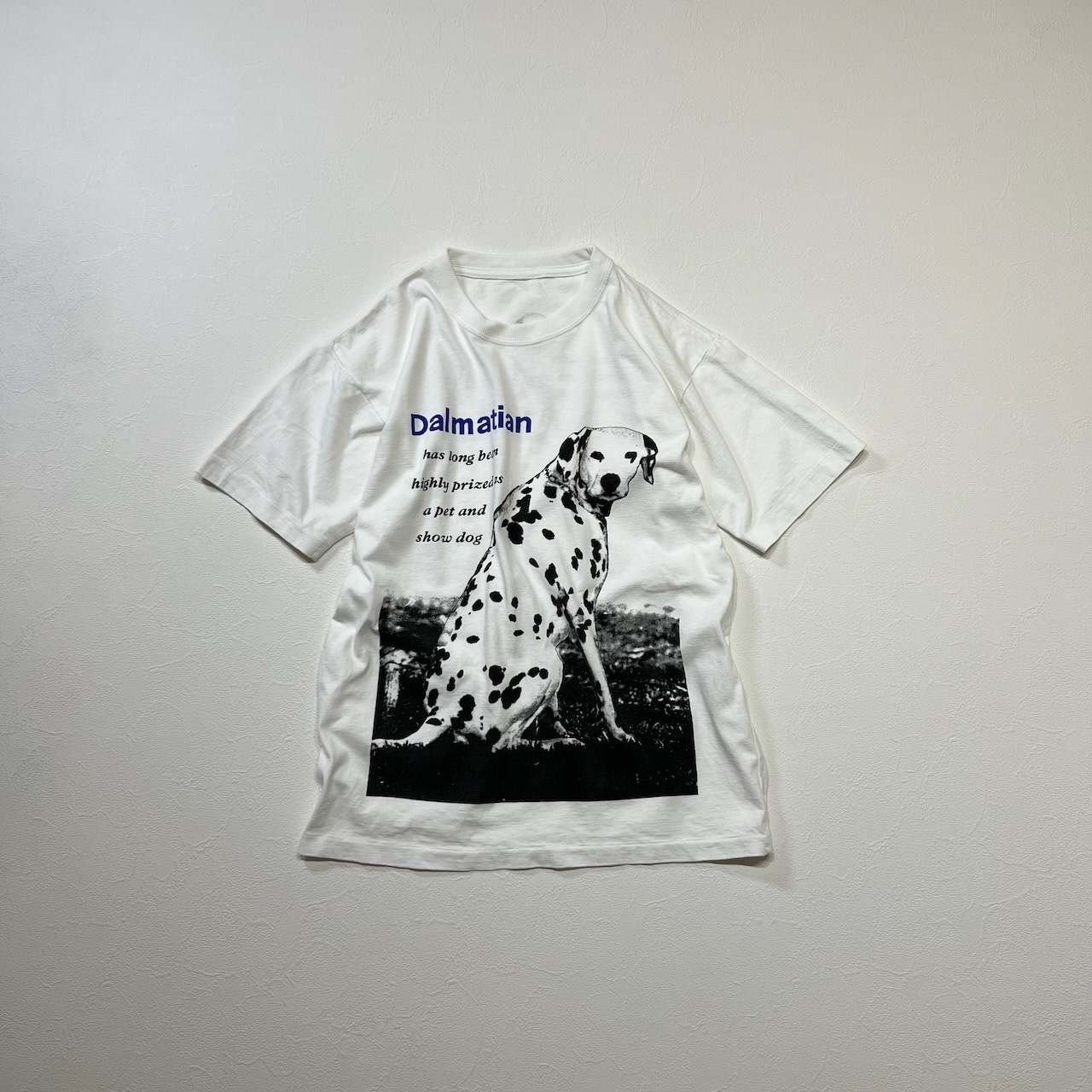 ダルメシアン 両面プリント シングルステッチ 犬 アニマル Tシャツ ホワイト 古着