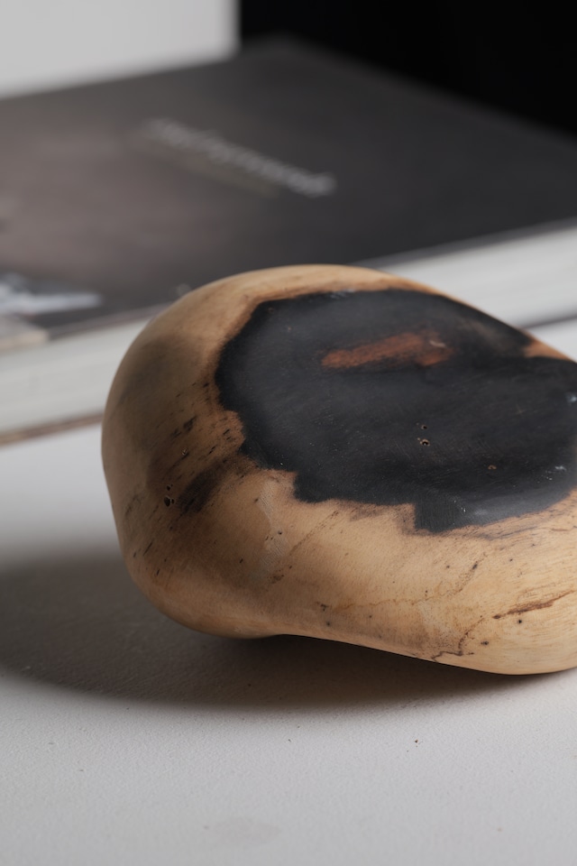 木の石 “wood stone” M ③