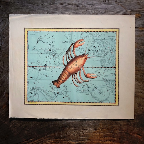 天文図版「蟹座」