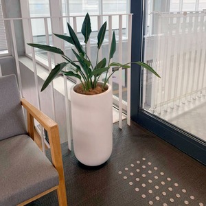 中型サイズ観葉植物おしゃれな器のセット レンタル商品 Samasama