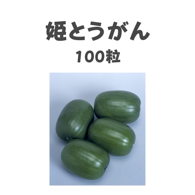 姫とうがん　トウガン種子・100粒