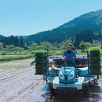 雪ノ王　玄米（魚沼産コシヒカリ） / 5kg / 令和7年産