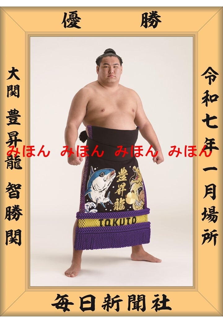 大相撲まいにち部屋(大相撲優勝ミニ額販売公式サイト) 大相撲まいにち部屋(大相撲優勝ミニ額販売公式サイト)