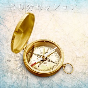 タイミング分析セッション30分