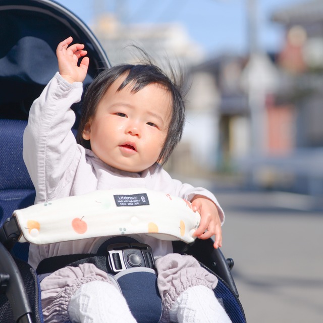 ベビーカーのフロントカバー/りんごをひとつ