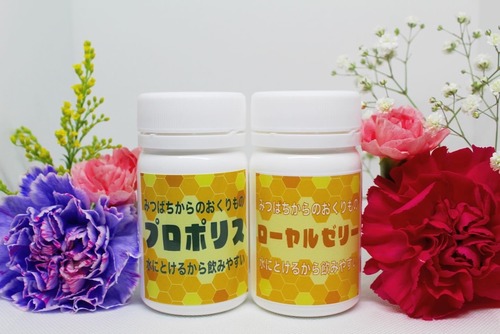 定期便切り替え・ご継続   シンプルプラン(３ヵ月)  プロポリス×３&ローヤルゼリー×３